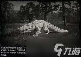 大表哥2传说鳄鱼在哪个位置