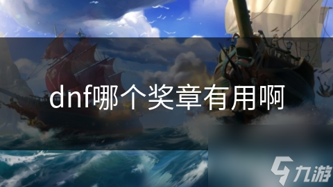 dnf哪个奖章有用啊