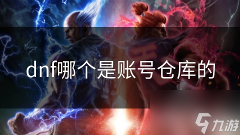 dnf哪个是账号仓库的