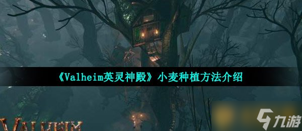 《Valheim英靈神殿》小麥種植方法介紹