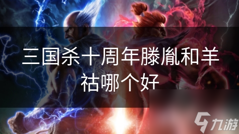 三国杀十周年滕胤和羊祜哪个好