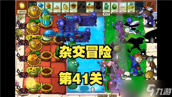 植物大战僵尸杂交版冒险模式第41关怎么过