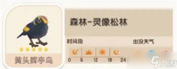 心动小镇黄头辉亭鸟位置在哪