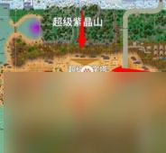 小动物之星拉布拉多实验室在哪里介绍截图