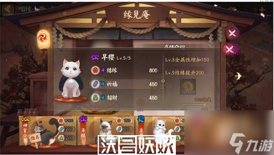 阴阳师再结前缘喵缘小街猫咪怎么选择-阴阳师再结前缘喵缘小街猫咪怎么选择建议分享