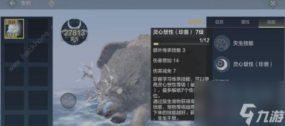 快来寻找可爱的百年小白宠物，让你的妄想山海之旅更加精彩（快来寻找可爱的百年小白宠物）