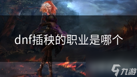 dnf插秧的职业是哪个
