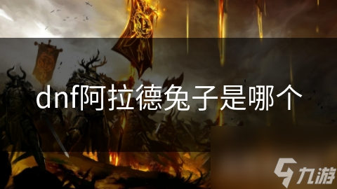 dnf阿拉德兔子是哪个