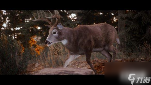 开放世界模拟狩猎游戏《狩猎模拟3》上线steam页面！
