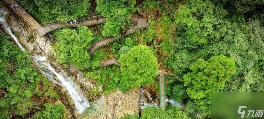妄想山海滕雀（深入解析妄想山海滕雀的特色玩法与策略）