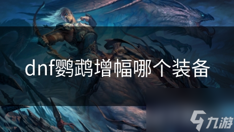 dnf鸚鵡增幅哪個裝備