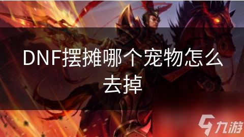 DNF摆摊哪个宠物怎么去掉