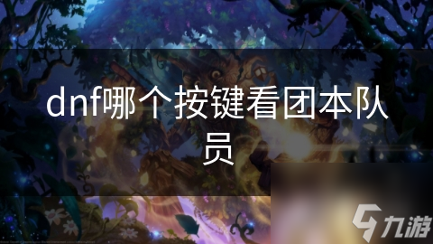 dnf哪個(gè)按鍵看團(tuán)本隊(duì)員