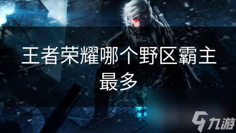 王者榮耀哪個(gè)野區(qū)霸主最多