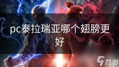 pc泰拉瑞亚哪个翅膀更好