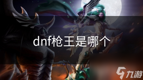 dnf枪王是哪个截图