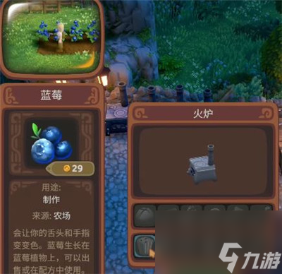 《露玛岛》蓝莓具体特点介绍