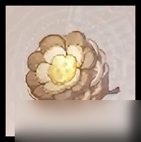 無(wú)限暖暖植物在哪采集