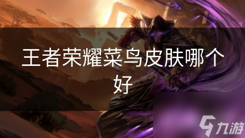 王者榮耀菜鳥皮膚哪個好