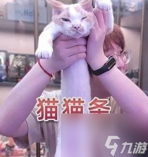 《神与猫神的萌神之旅》（当追求可爱成为信仰）