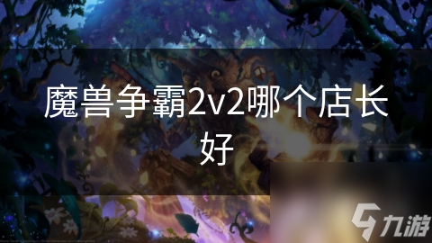 魔兽争霸2v2哪个店长好