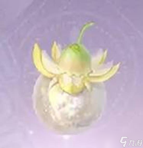 無(wú)限暖暖日光果在什么地方獲得 日光果制作心愿薔薇方法