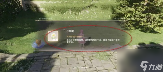 無限暖暖小棉菊采集攻略
