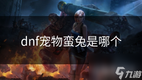 dnf寵物蠻兔是哪個(gè)
