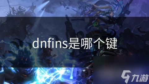 dnfins是哪个键