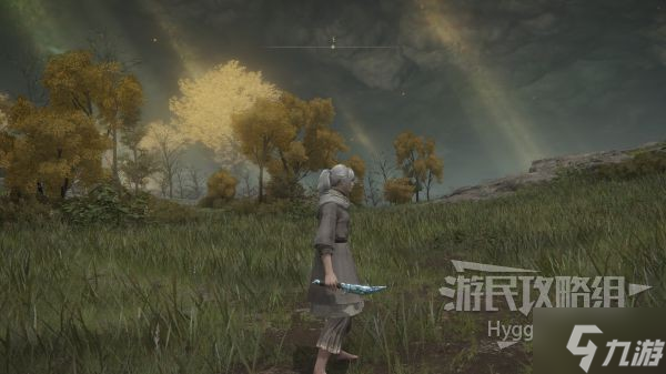 《艾爾登法環(huán)》結(jié)晶小刀面板與獲取攻略 結(jié)晶小刀怎么獲得