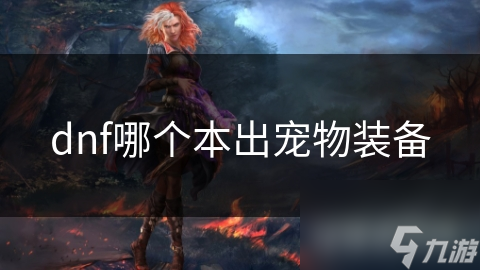 dnf哪個(gè)本出寵物裝備