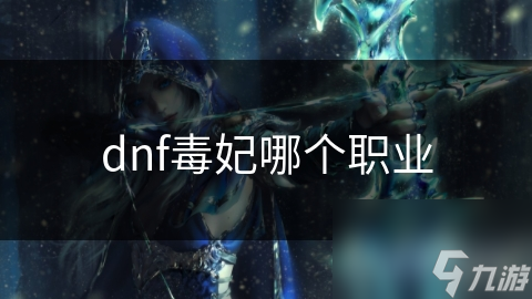 dnf毒妃哪個職業(yè)