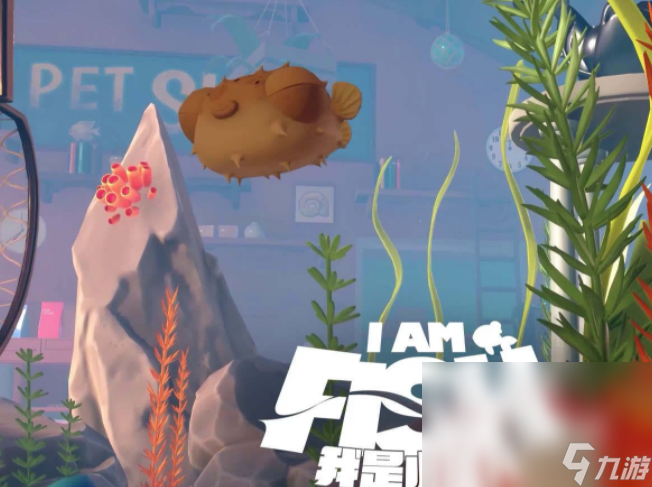 我是小鱼儿手机版下载链接 我是小鱼儿如何下载