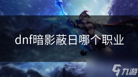 dnf暗影蔽日哪個職業(yè)