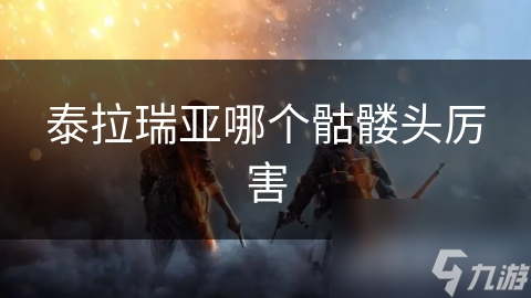 泰拉瑞亞哪個骷髏頭厲害