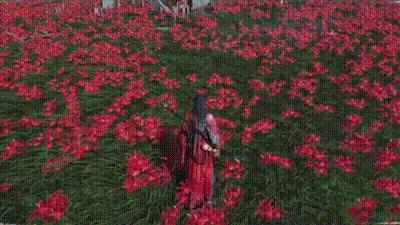 《燕云十六聲》全門派武學(xué)圖文介紹