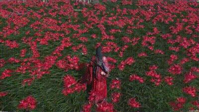 《燕云十六聲》全門派武學(xué)圖文介紹