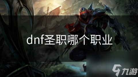 dnf圣職哪個職業(yè)