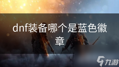 dnf装备哪个是蓝色徽章