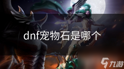 dnf寵物石是物石哪個(gè)