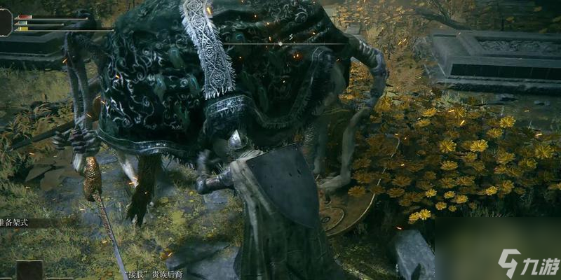 《掌握艾尔登法环流浪骑士的最强加点策略》（打造无敌战士）