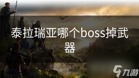 泰拉瑞亞哪個boss掉武器