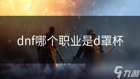 dnf哪个职业是d罩杯