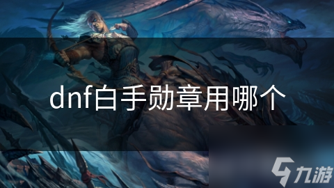dnf白手勋章用哪个