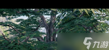 《下一站江湖2》飞炼草获取攻略？下一站江湖2攻略推荐