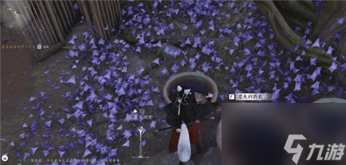 燕云十六声武林录探索任务应悔偷灵药怎么做