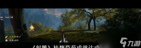 《射雕》桂馥芍药成就达成攻略？射雕攻略介绍