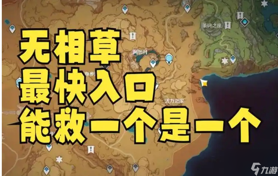 无相草从哪进