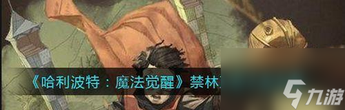 哈利波特魔法觉醒黑眼圈去除攻略（游戏化去黑眼圈）