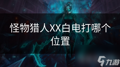 怪物猎人XX白电打哪个位置